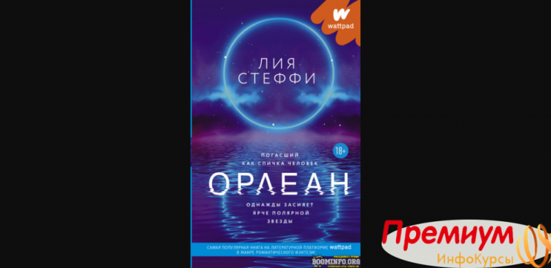 Презентация книги орлеан лия стеффи